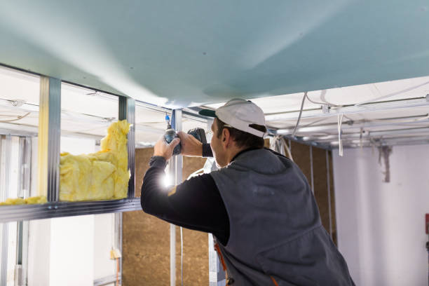 Best Insulation for New Construction  in Chesilhurst, NJ