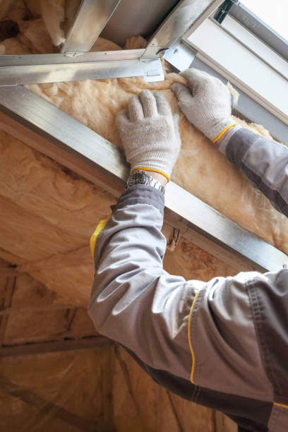 Best Energy-efficient Insulation  in Chesilhurst, NJ