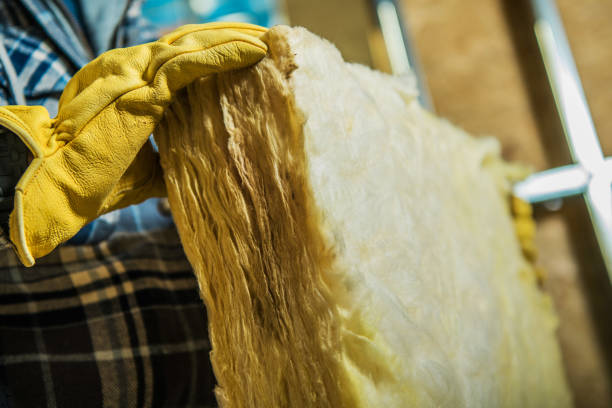 Best Wall Insulation Contractor  in Chesilhurst, NJ