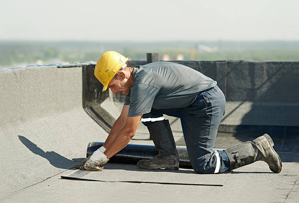 Best Insulation Contractor Near Me  in Chesilhurst, NJ
