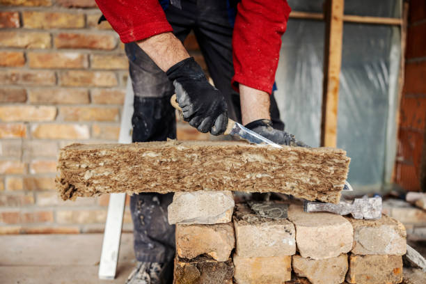 Best Insulation Contractor Near Me  in Chesilhurst, NJ